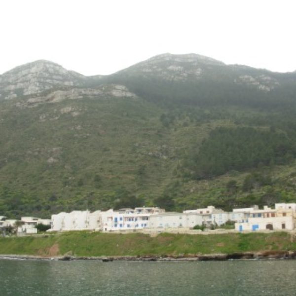 DSCN5555