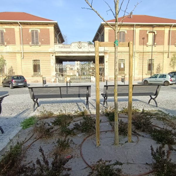 IMG20240322163235